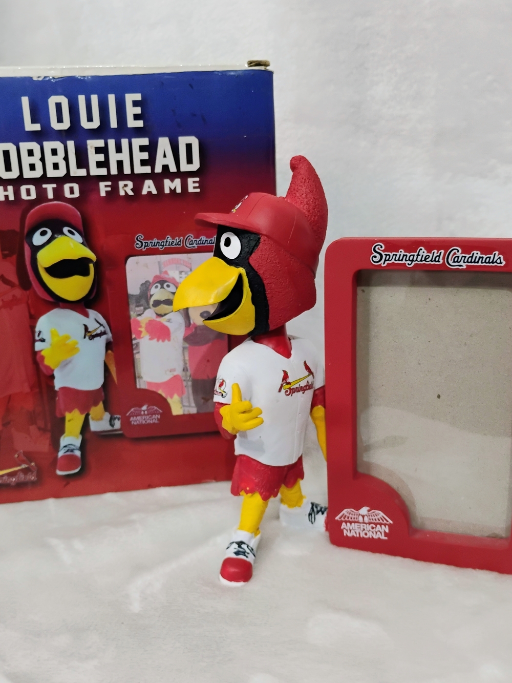 Springfield Cardinals Louie Bobblehead Picture Frame SGA Promo Baseball w/ Box O